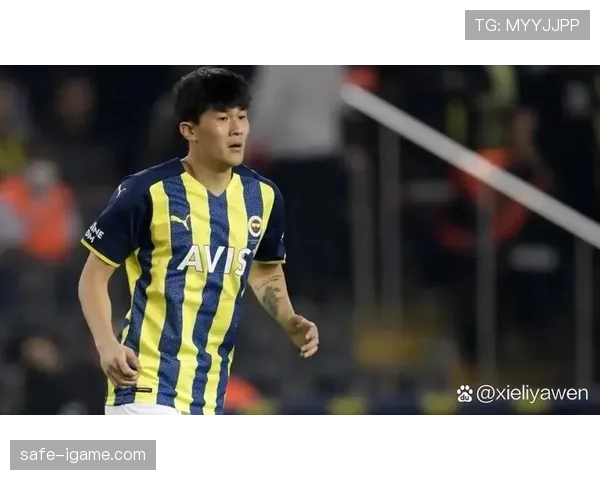 金玟哉加盟费内巴切，助力球队重返巅峰