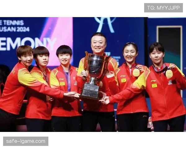 球队阵容揭晓，明星球员悉数登场，战力升级引关注