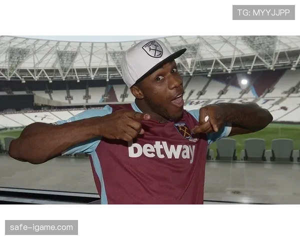 西汉姆联转会窗动态：球队引援策略与阵容调整备受关注